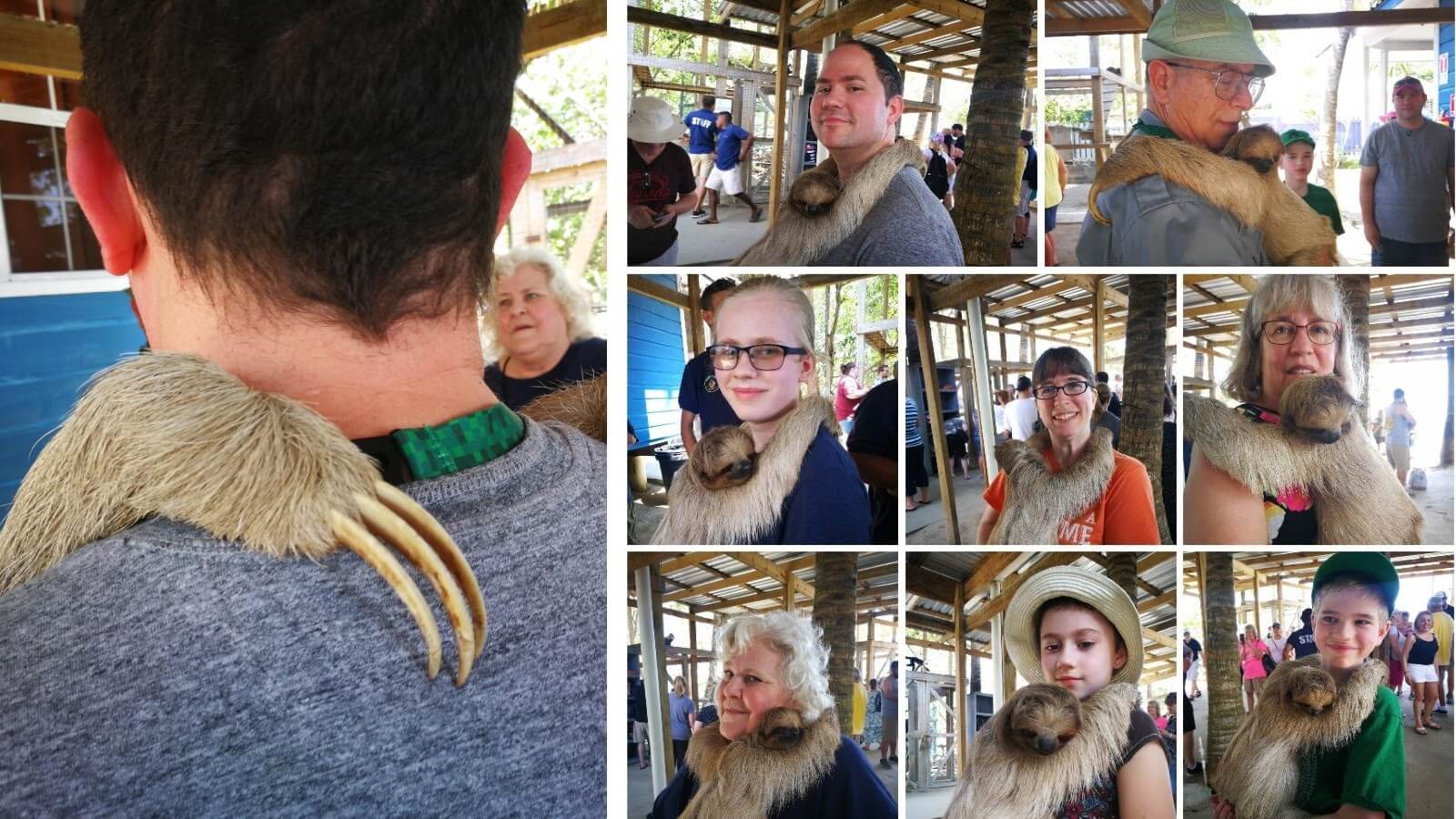 Pictures of the Huff family holding a sloth