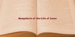 Snapshots of the Life of Jesus