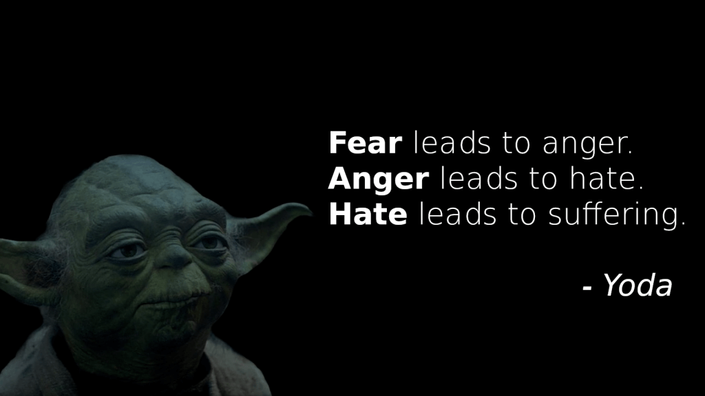 "Fear leads to anger. Anger leads to hate. Hate leads to suffering." - Yoda